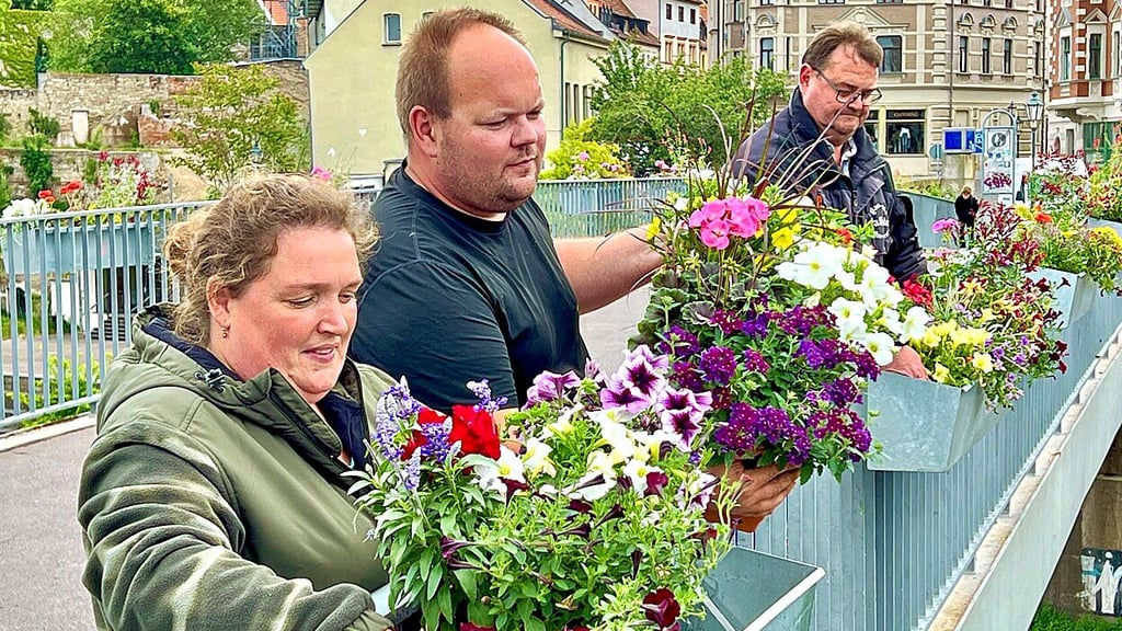 Tina und Andreas Baumgraß aus Plötzkau sowie Frank Geisler hängen die neu bepflanzten Blumenkästen auf der Fußgängerbrücke in die Behälter ein.