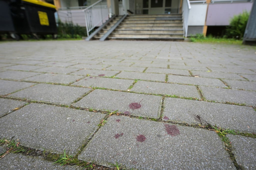 Ein 29-Jährigen erlitt schwere Stichverletzungen.