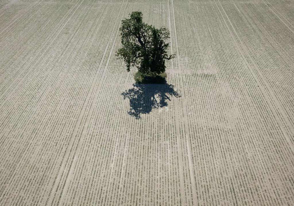 Weite Teile Europas leiden seit Jahren unter zunehmender Wasserknappheit. (Archivbild)