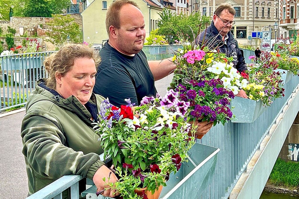 Tina und Andreas Baumgraß aus Plötzkau sowie Frank Geisler hängen die neu bepflanzten Blumenkästen auf der Fußgängerbrücke in die Behälter ein.
