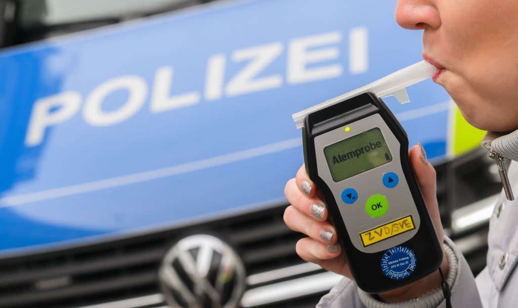 Nur knapp sind Autofahrer Unfällen auf der A14 bei Dahlenwarsleben entgangen.