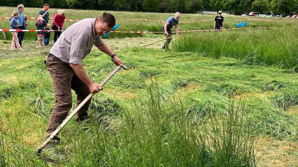 Schnitterfest in Meisdorf: Landwirt Andreas Behrens ist mit anderen Teilnehmern beim Wettkampf am Start.