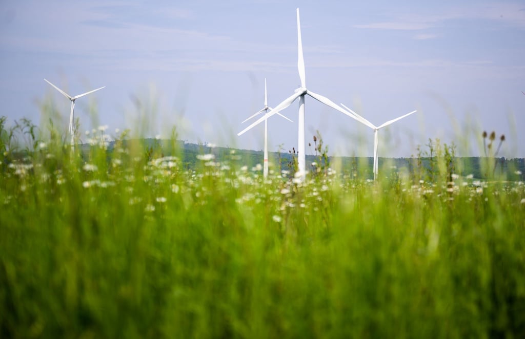 Kommt bald Windenergie aus Badeborn und Hoym? Die Planungen für einen Windpark können weitergehen.
