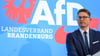 Die AfD in Brandenburg will sich gegen die Hochstufung als „gesichert rechtsextrem“ mit einer Klage zur Wehr setzen. (Archivbild)