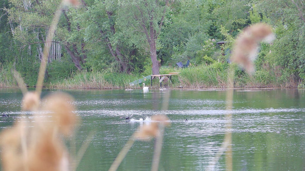 Die ehemalige Badeanstalt in Barleben mit dem Böttchersee gleicht einer Naturoase. Diese soll laut Gemeindeverwaltung geschützt und zur Naherholung geöffnet werden. Doch das Grundstück ist in Privatbesitzt und die Familie möchte sich nicht vertreiben lassen.