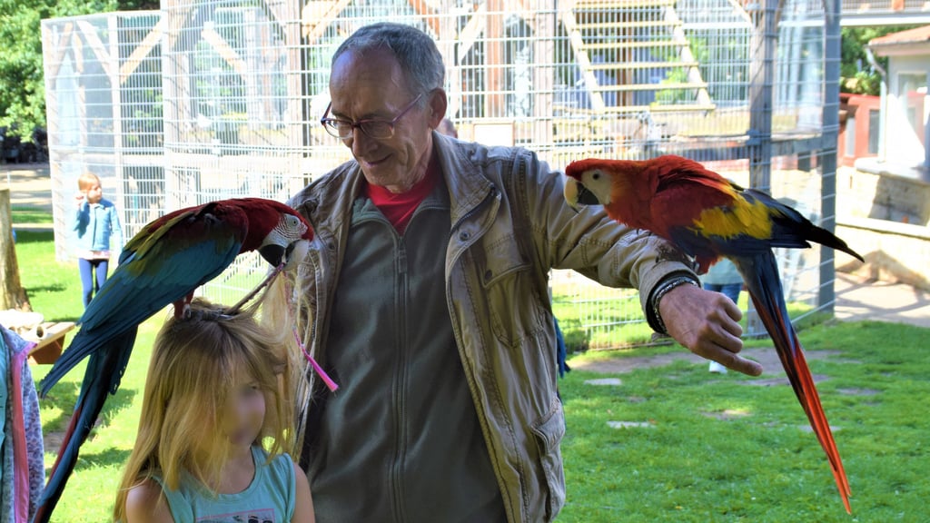 Wenn Tierpark-Leiter Michael Bussenius mit seinen Papageien kommt, werden schon mal Frisuren durcheinandergebracht.