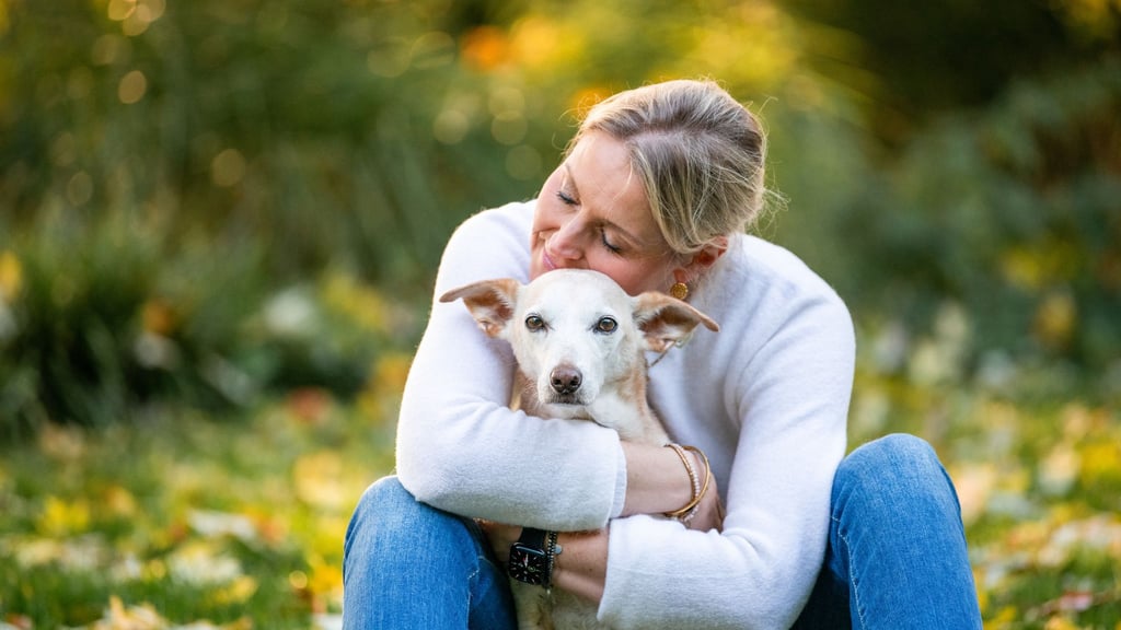 34 Millionen Haustiere gibt es in Deutschland - am beliebtesten ist die Katze, dicht gefolgt vom Hund. (Handout)