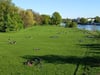 Ein Blick auf die Hundeauslaufwiese im Stadtpark an der Sternbrücke in Magdeburg: Bei warmem Wetter wird die Fläche zunehmend von Picknick- und Grillgruppen genutzt – sehr zum Ärger vieler Hundebesitzer.