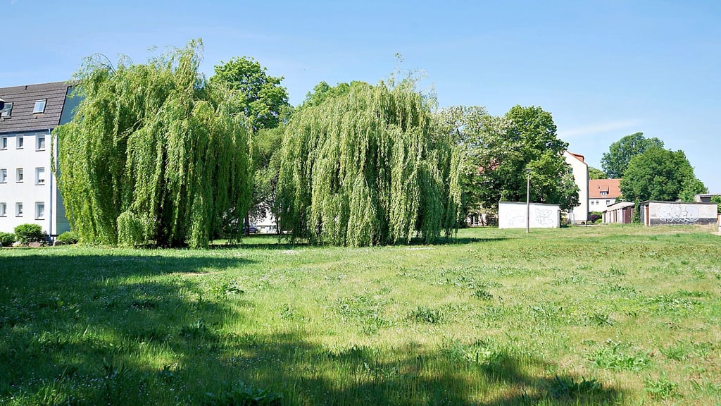 Auf dieser Fläche zwischen den Straßen Zur Grube und An der Industriebahn baut Exxellin Häuser.