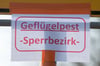 Im Salzlandkreis hat sich die Geflügelpest ausgebreitet.