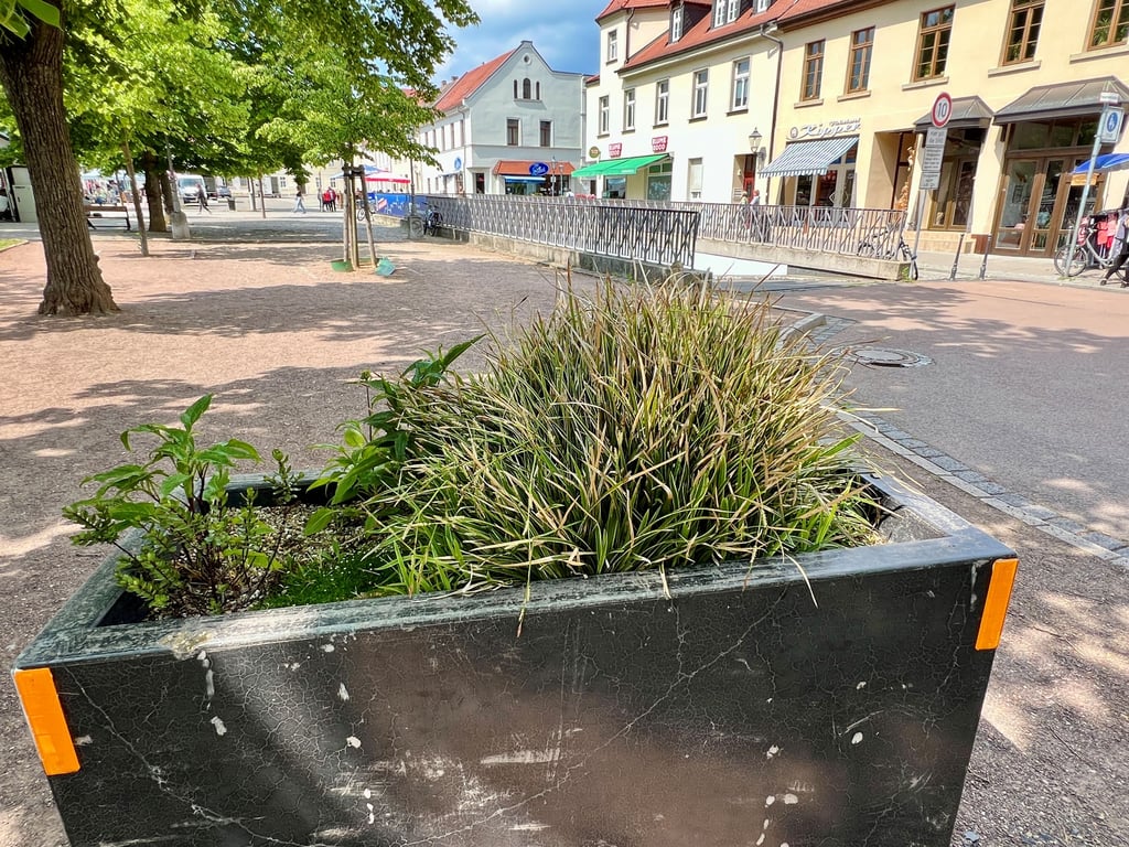 Die massiven Pflanzkübel wie hier am Karlsplatz sollen als Barrieren dienen.
