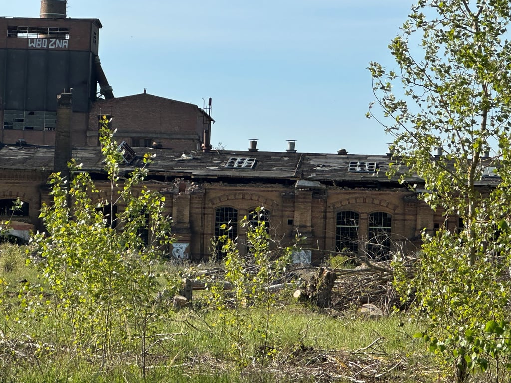 Blick auf das RAW-Areal Magdeburg von einem Grundstück an der Ferndinand-Schrey-Straße. Man sieht abgeholzte Bäume.