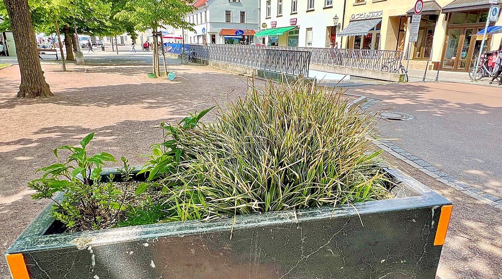 Die massiven Pflanzkübel wie hier am Karlsplatz sollen als Barrieren dienen.
