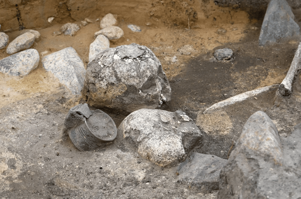 Ein Gefäß liegt bei Altenweddingen zwischen den Schädeln eines Erwachsenen und eines Kindes in einem Grab aus der Übergangszeit zwischen der Jungsteinzeit und der Bronzezeit&nbsp;