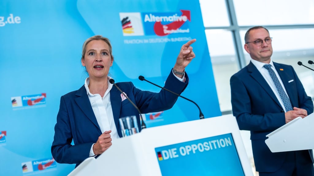 Die AfD fühlt sich durch das Verhalten der anderen Fraktionen benachteiligt. (Archivbild)