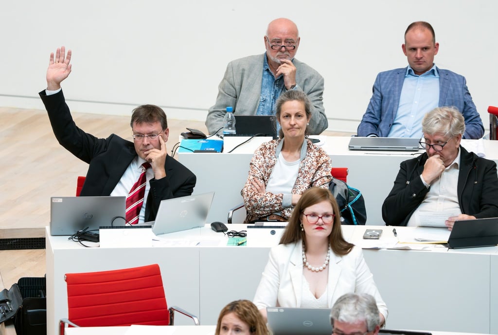 Der BSW-Abgeordnete Sven Hornauf (links) unterstützte bei der Abstimmung die Position der AfD.