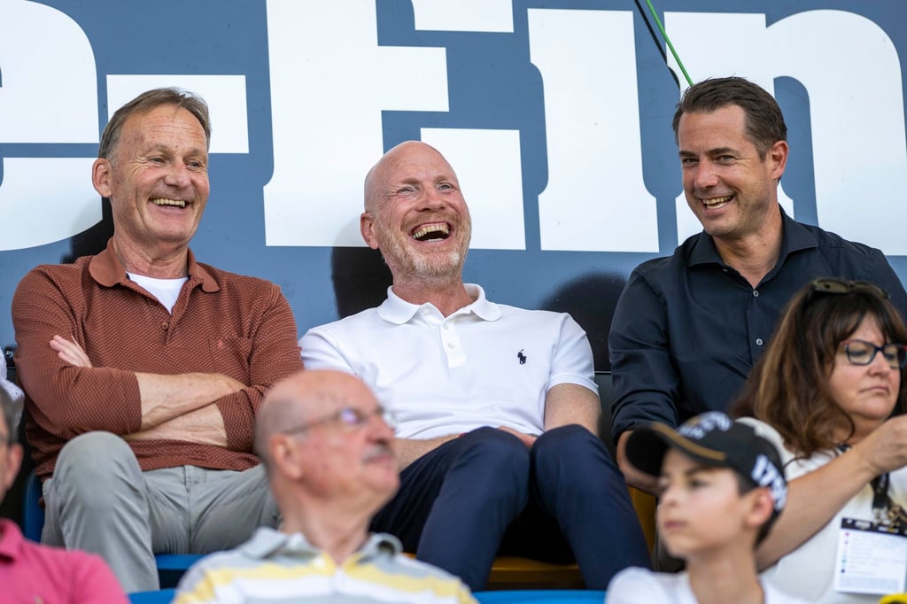 Mathias Sammer (M) dürfte Borussia Dortmund in einer etwas anderen Rolle erhalten bleiben.