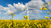 Ein geplanter Windpark hält die Zerbster weiter in Atem.