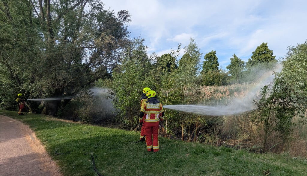 Die Feuerwehr löschte weiträumig am Großen Teich.