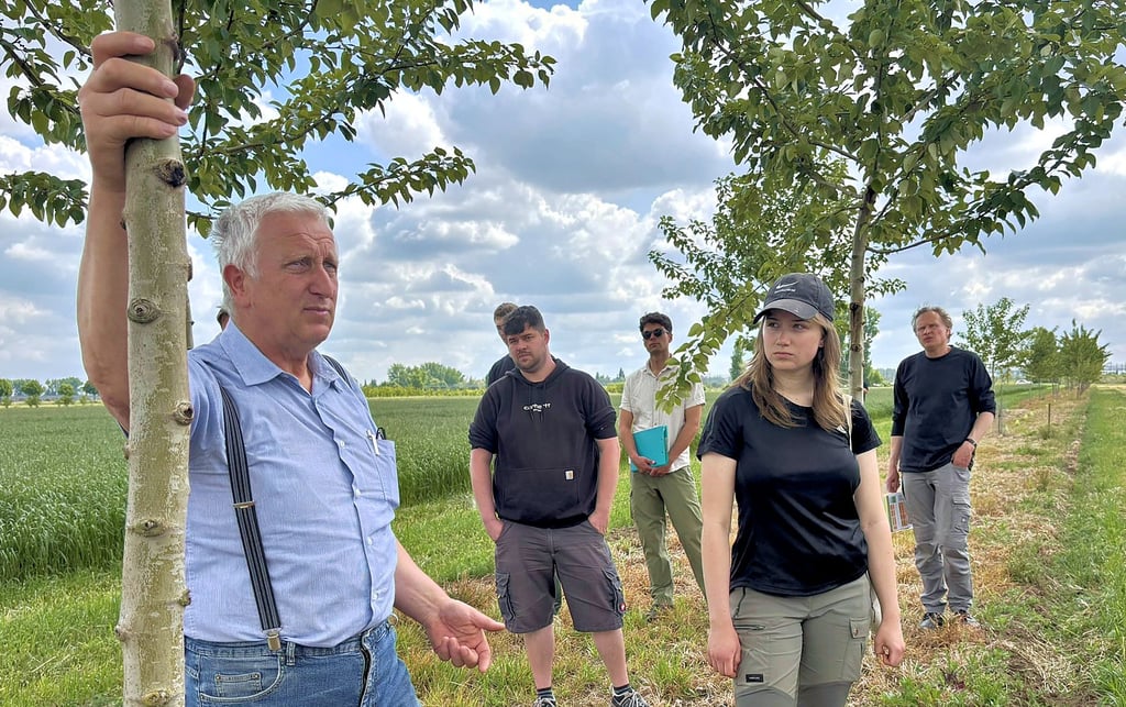 Landwirt Eicke Zschoche (l.) erklärt sein Agroforstsystem auf einem Feld bei Prosigk. Experten verstehen darunter eine Kombination von Ackerfrüchten und Gehölzen.