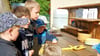 Fasziniert haben die Kinder der Kita „Pinocchio“ den Hirschkäfer beobachtet, den Samuel in der Matschküche entdeckt hat. Sie nehmen das Insekt genau unter die Lupe. 
