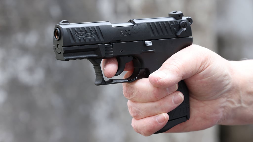 Ein Marder soll in Coswig beschossen worden sein.