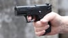 Ein Marder soll in Coswig beschossen worden sein.