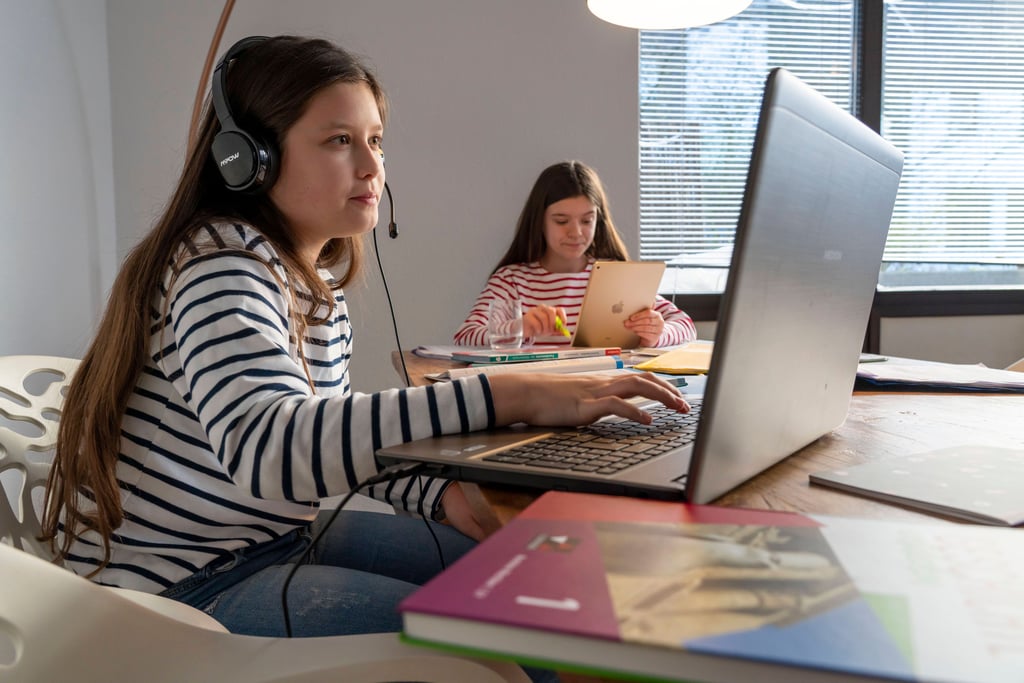 Mädchen beim Online-Lernen: Die Schüler-ID könnte künftig eine persönlichen Account ähnliche zielgruppenspezifische Lernsoftware freischalten.