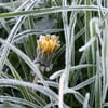 Wetter im Mai: In Sachsen-Anhalt drohen Gewitter und in der Nacht Bodenfrost.