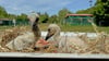 Zuletzt war im Kükenfutter selten der Wurm drin. Diese beiden Jungtiereauf dem Storchenhof Loburg wurden trotzdem satt.