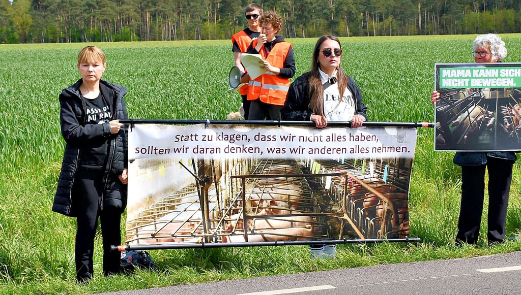 Erfolgte Mahnwachen – wie hier im April 2024 – werden von den Mitarbeitern der Schweinezuchtanlage kritisiert.