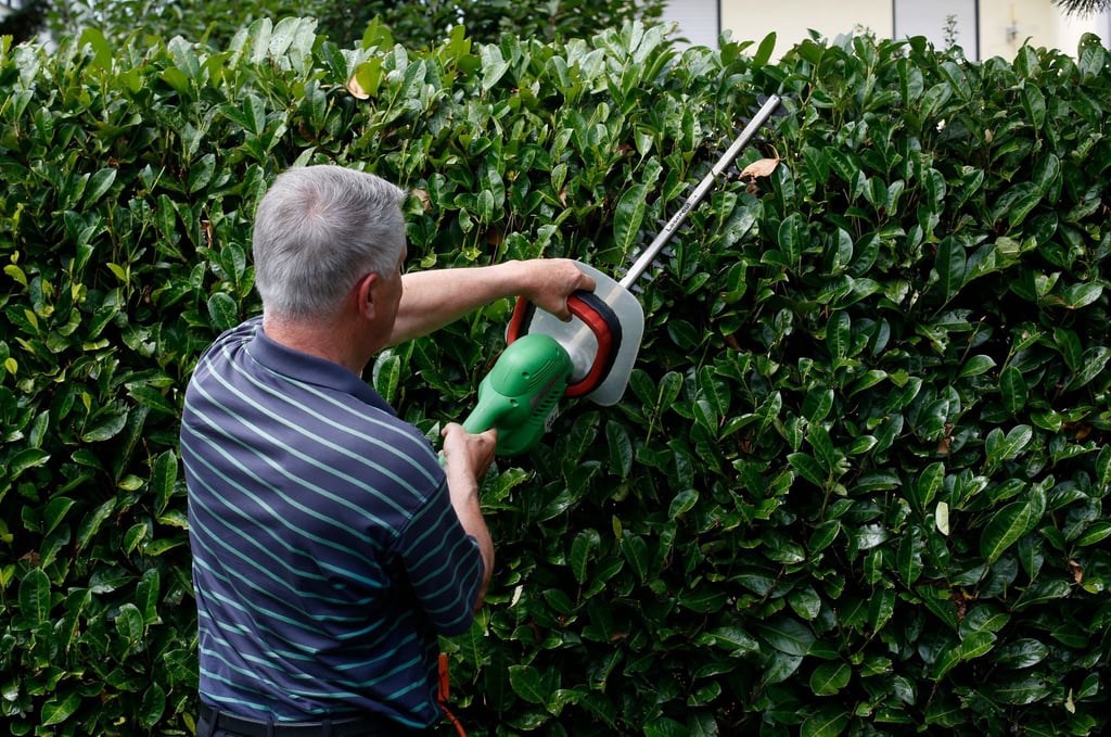 Kahlschlag? Manchmal kann eine Hecke auch die Sicht im Verkehrsgeschehen behindern - in einem Fall wurde deswegen eine Stadt verklagt.