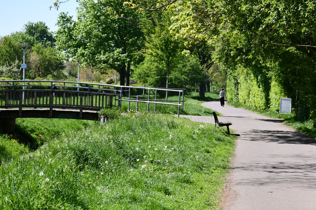An der Schrote in Magdeburg-Stadtfeld findet erstmals der Schrotelauf statt.