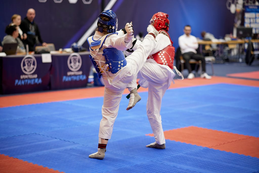 Taekwondo-Kämpfer begeistern Zuschauer vor allem mit spektakulären Tritten.