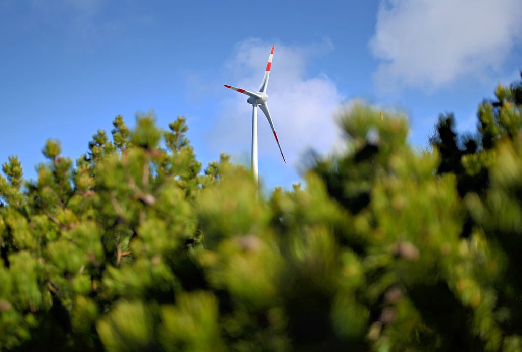 Windräder im Wald. Die EnBW plant ein Projekt mit 40 Windkraftanlagen im Waldgebiet zwischen Breitenfeld und Solpke mit einer Wasserstoffproduktion im Industriegebiet Gardelegen.