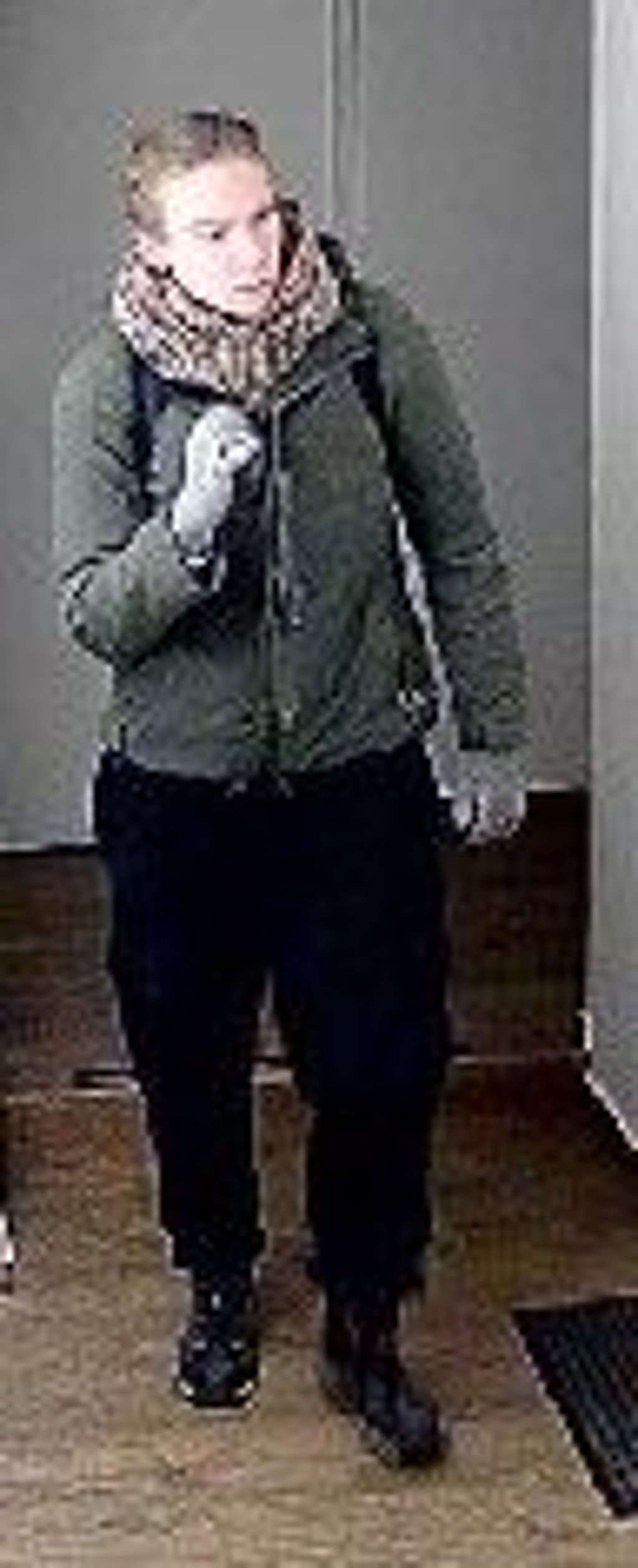Einbruch in Halle: Wer kennt diese Frau?