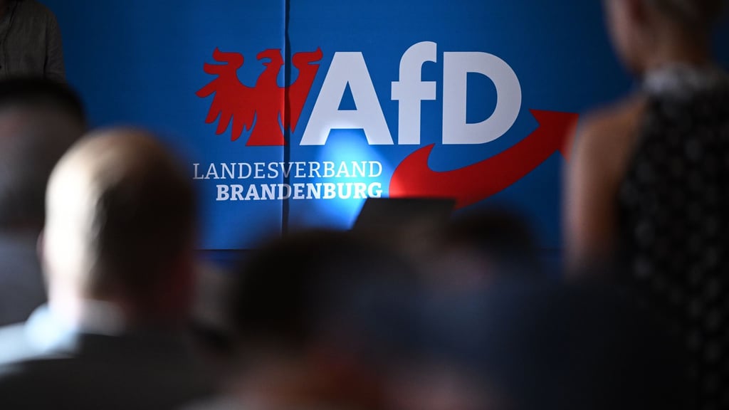 Die AfD in Brandenburg wehrt sich juristisch gegen ihre Hochstufung zur gesichert rechtsextremistischen Bestrebung. (Archivbild)