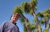 Ein bisschen wirkt die alle Jahre wieder gestutzte Trauerweide wie ein tropischer Baum. Michael Falcke staunte nicht schlecht, als Störche ausgerechnet seinen Baum als Familiensitz annektierten. Das Nest ist aus dieser Perspektive allerdings nicht zu sehen. 