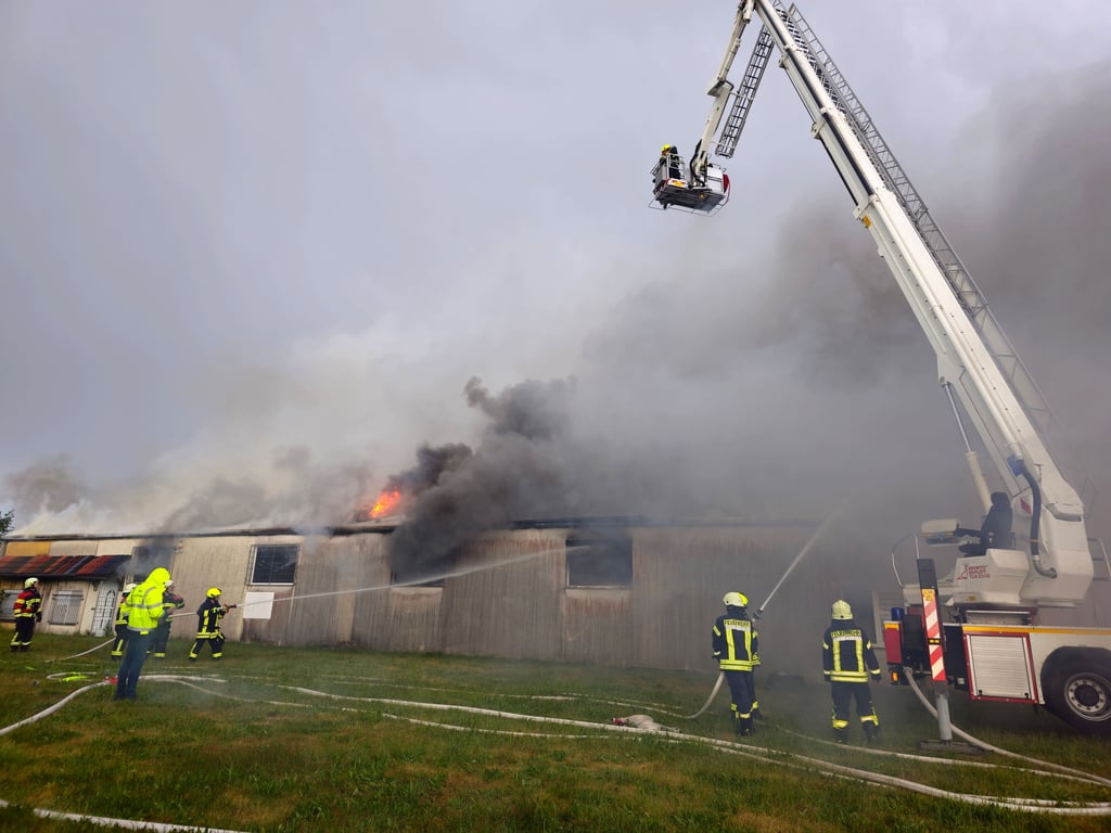 Rasend schnell haben sich die Flammen durch die gesamte Halle gefressen.
