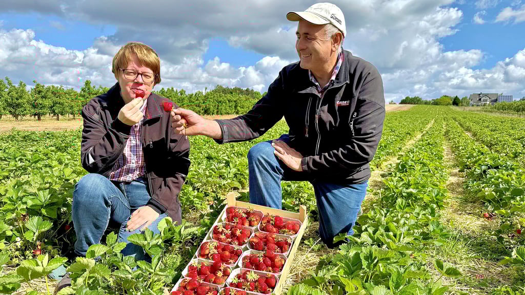 Sandra und Frank Hanke probieren die ersten Früchte. Laut ihrer Einschätzung haben sie ein tolles Aroma.