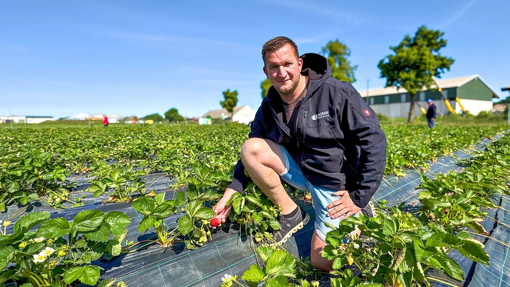 Tino Gast, Vorsitzender der Agrargenossenschaft Rackith, gibt den Startschuss zur Selbstpflücksaison.