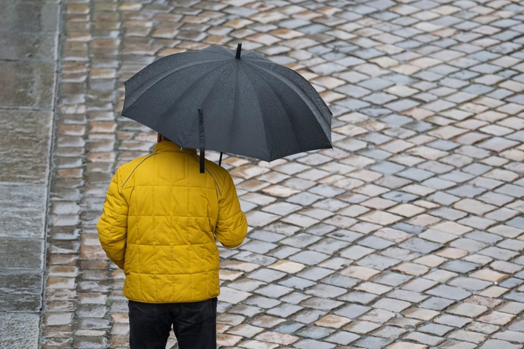 Auch stürmische Böen sind laut DWD am Freitag nicht ausgeschlossen. (Symbolbild)