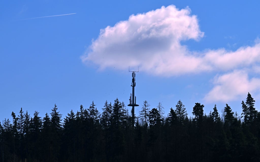 Hier gibt es Handynetz - anderswo fehlen hingegen noch Mobilfunkmasten im Wald, an Wiesen oder an Bauernhöfen. (Symbolbild)