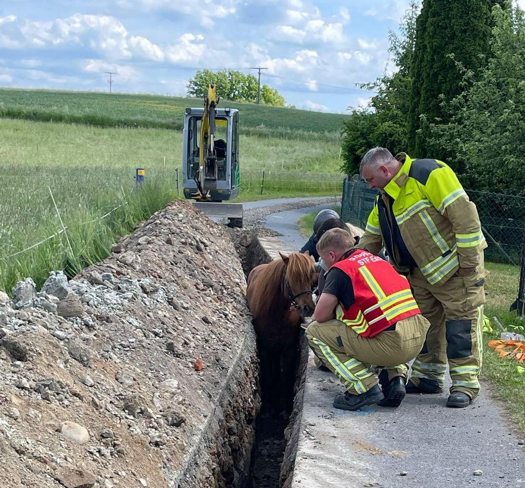 Einsatzkräfte der Feuerwehr kümmern sich um ein Pferd in einem Graben.