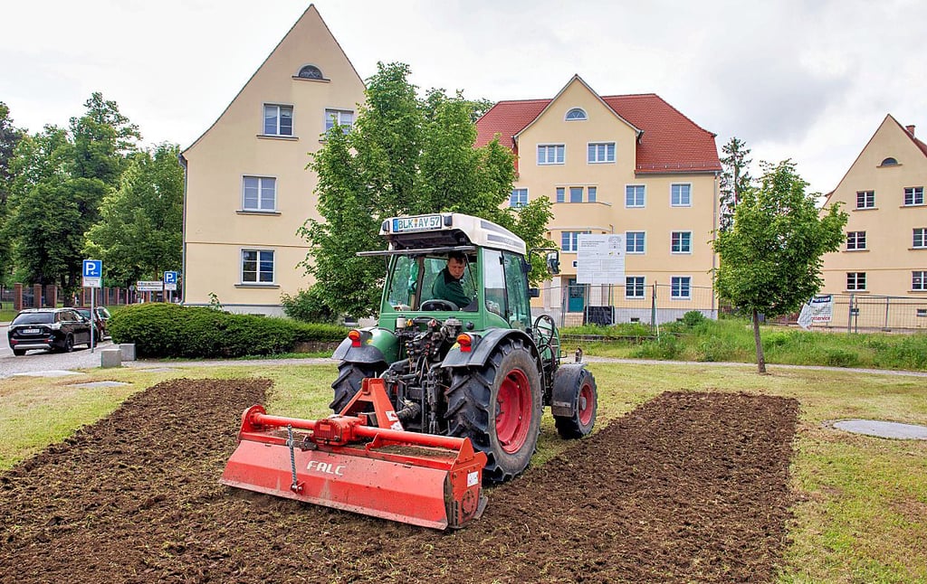 Am Naumburger Moritzplatz entsteht eine Wildblumenwiese – ein weiteres Projekt der Stadt mit der Hochschule Anhalt. Die Agrar- und Absatzgenossenschaft Naumburg bereitet den Boden vor.