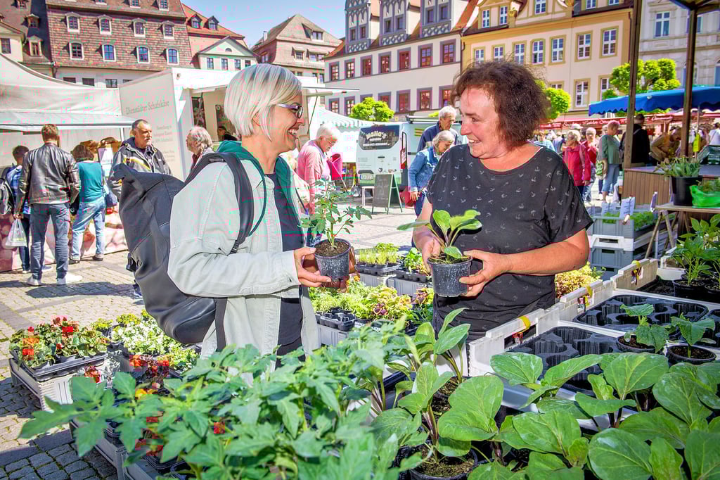 Annett Krehahn (r.) verkauft auf dem Naumburger Wochenmarkt Pflanzen an Maria Sperber.