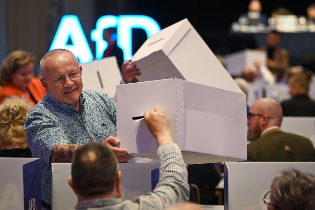 Wahlmarathon bei der AfD Sachsen-Anhalt.