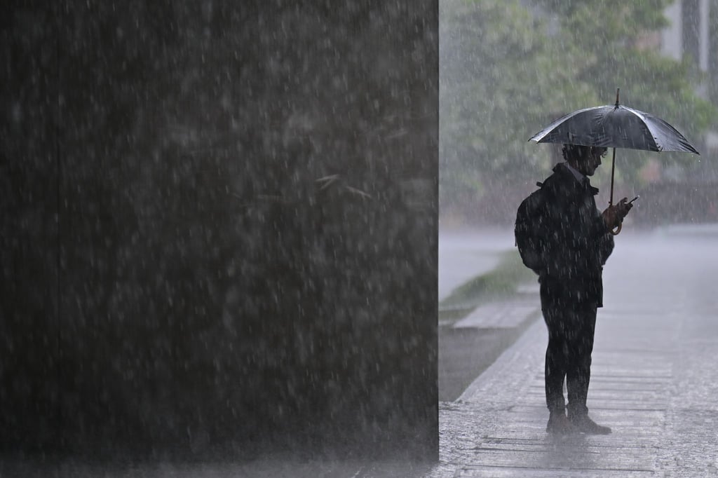 Regen bestimmt die nächsten Tage das Wetter in Berlin und Brandenburg. (Symbolbild)