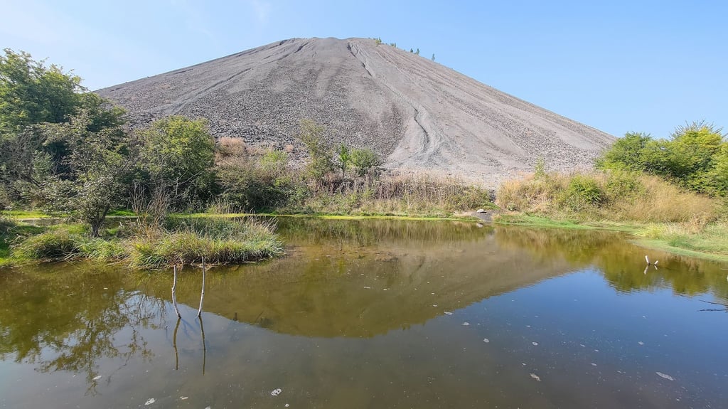 Die Halde Hohe Linde bei Sangerhausen. Hier lagert viel Material, was die Bergleute wegräumten, um das Kupferschiefer zu fördern.