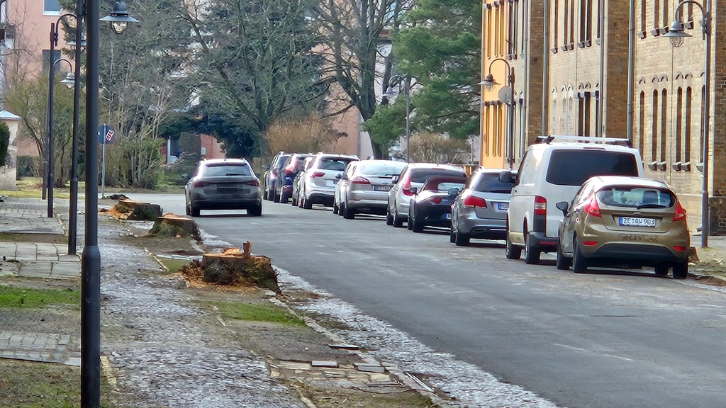 Schon vor geraumer Zeit wurden in der August-Bebel-Straße die Bäume gefällt.